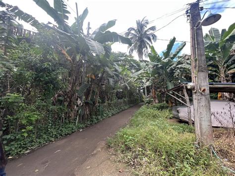 pinagkawitan lipa city zip code|Pinagkawitan (Barangay, Lipa City, Philippines) .